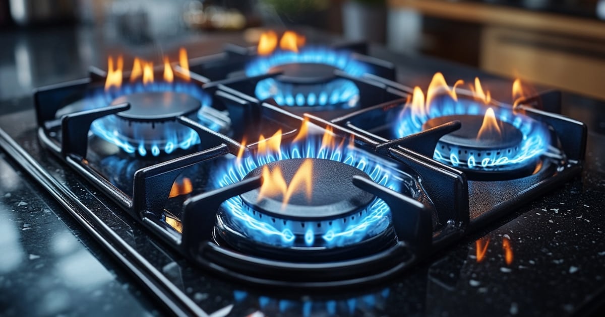 El Gobierno reduce el subsidio al gas ymillones de hogares quedan sin descuento
